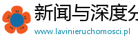 新闻与深度分析平台